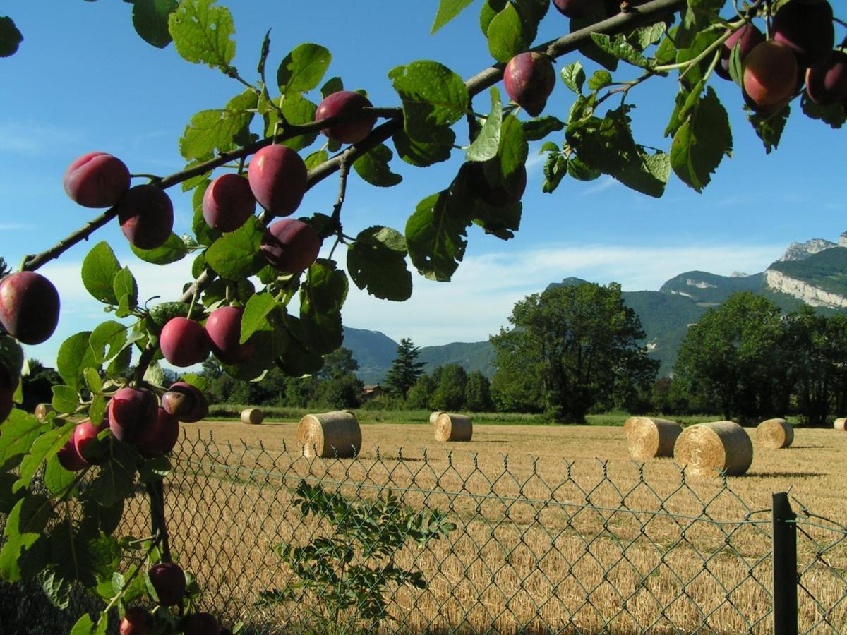 Les Champs Dores Noyarey ภายนอก รูปภาพ